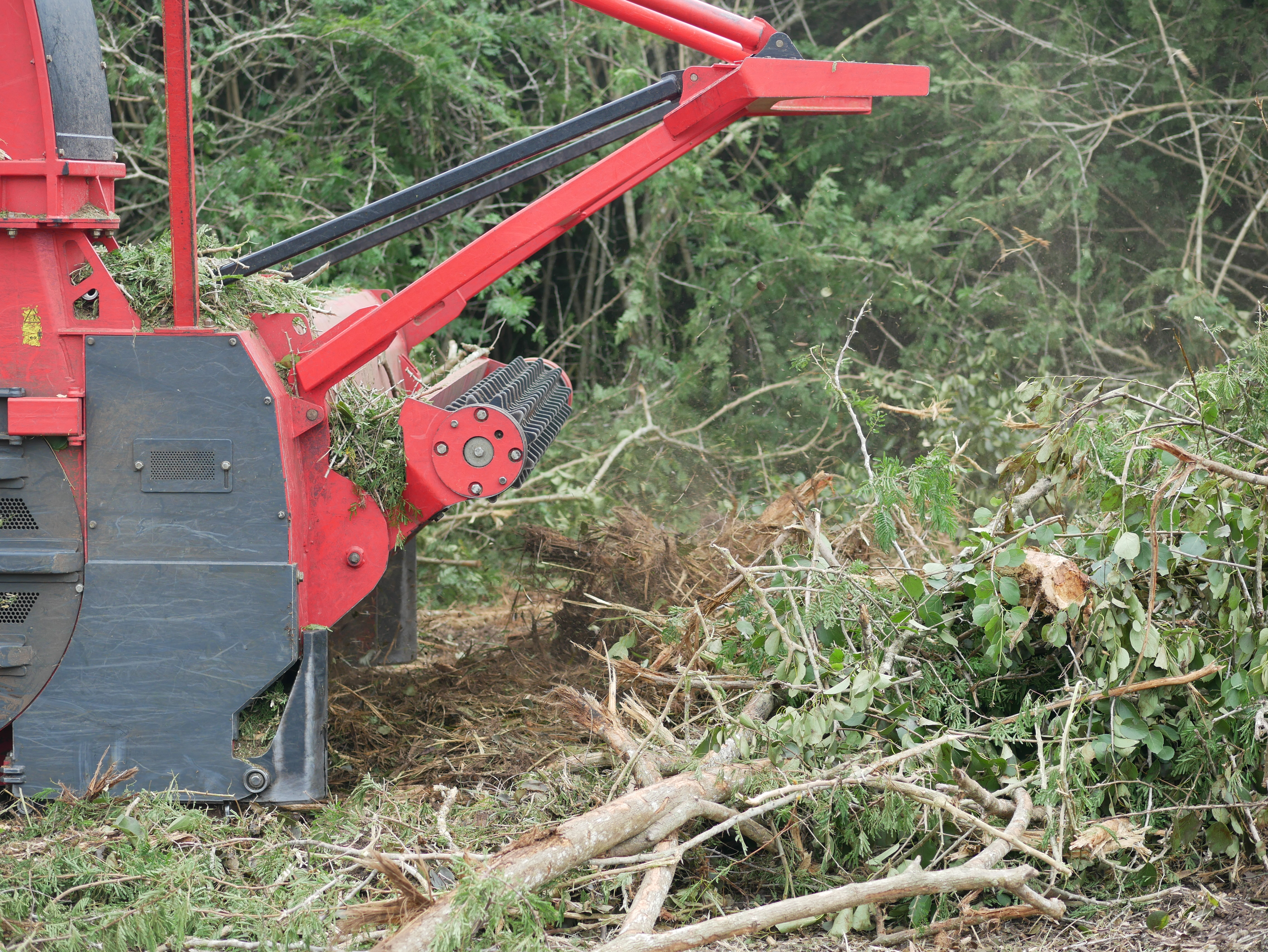 木材チップの収集 Ein Prinoth BMH 480 beim entfernen von Bio Masse.