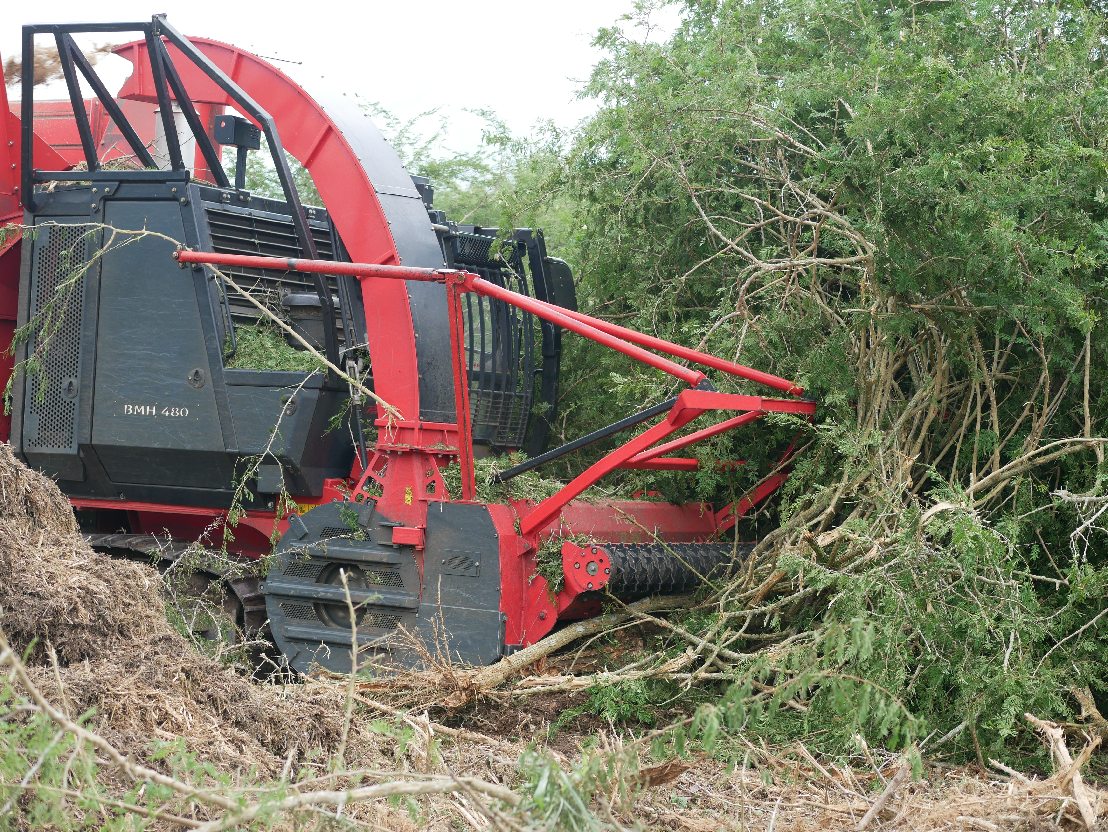 Ein Prinoth BHM 480 beim entfernen von Gestrüpp oder Büschen.