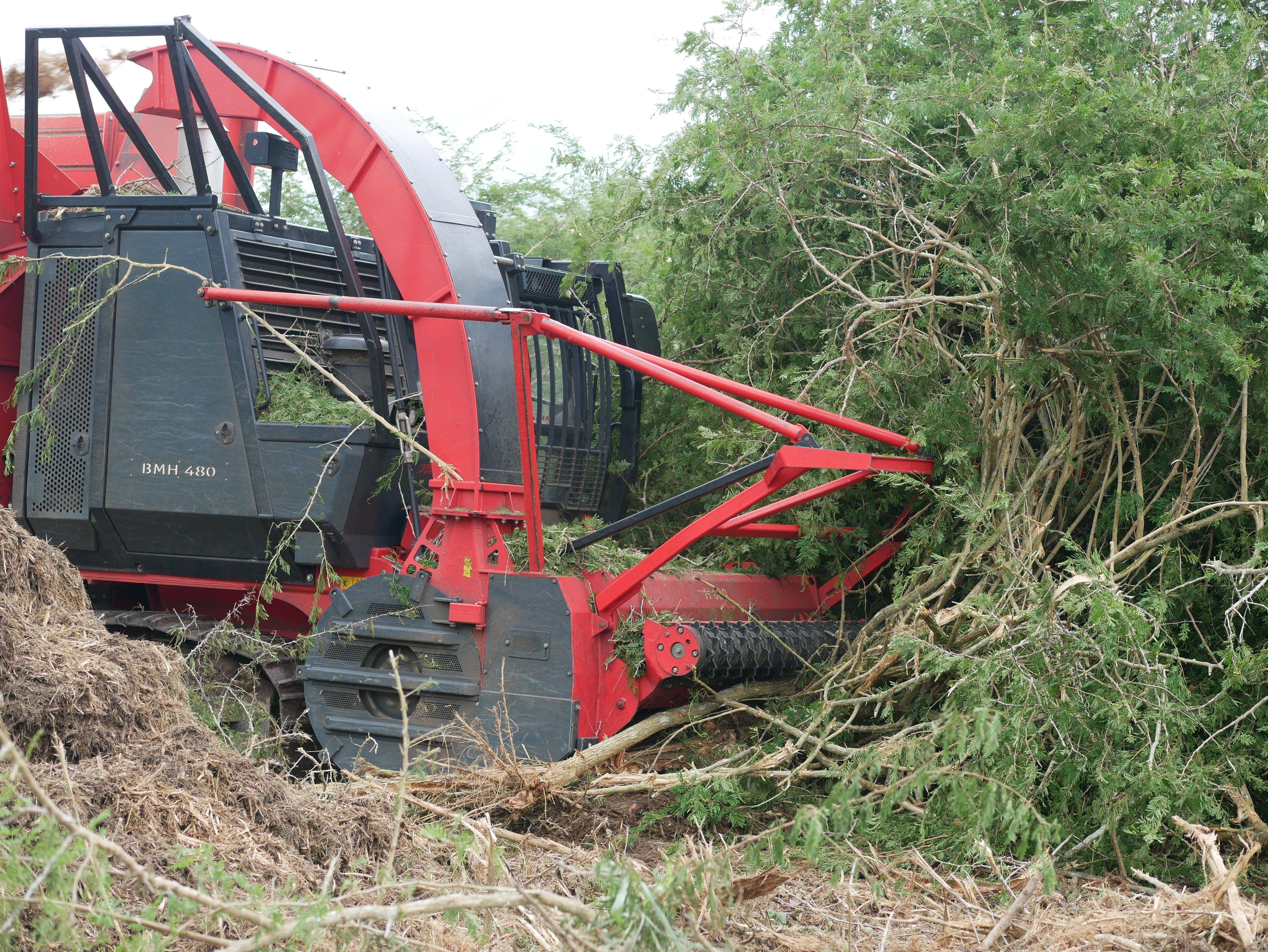 A Prinoth BHM 4 80 at harvesting biomass consisting of undergrowth or bushes.