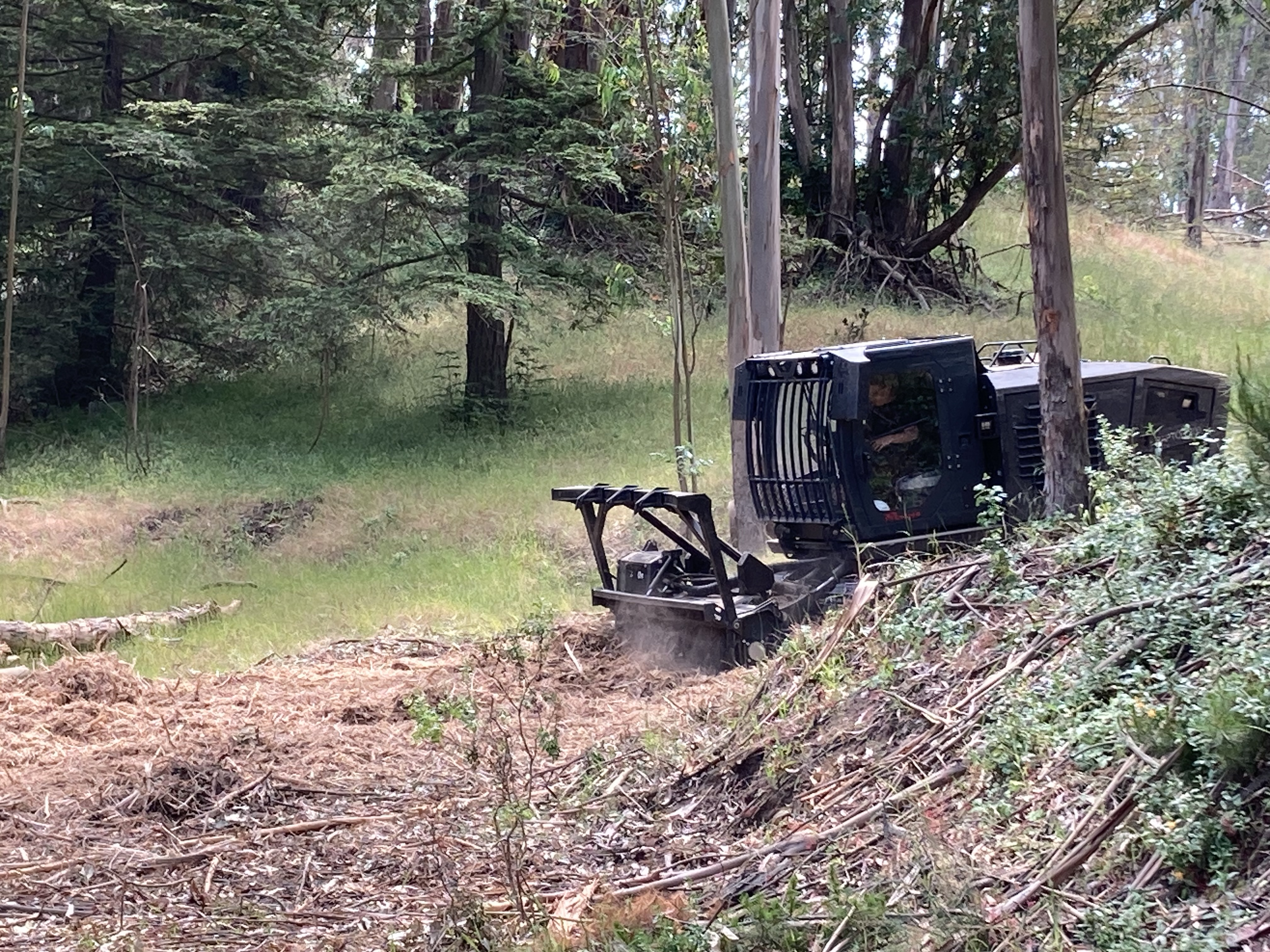 Forestry Maintenance Forestry Maintenance