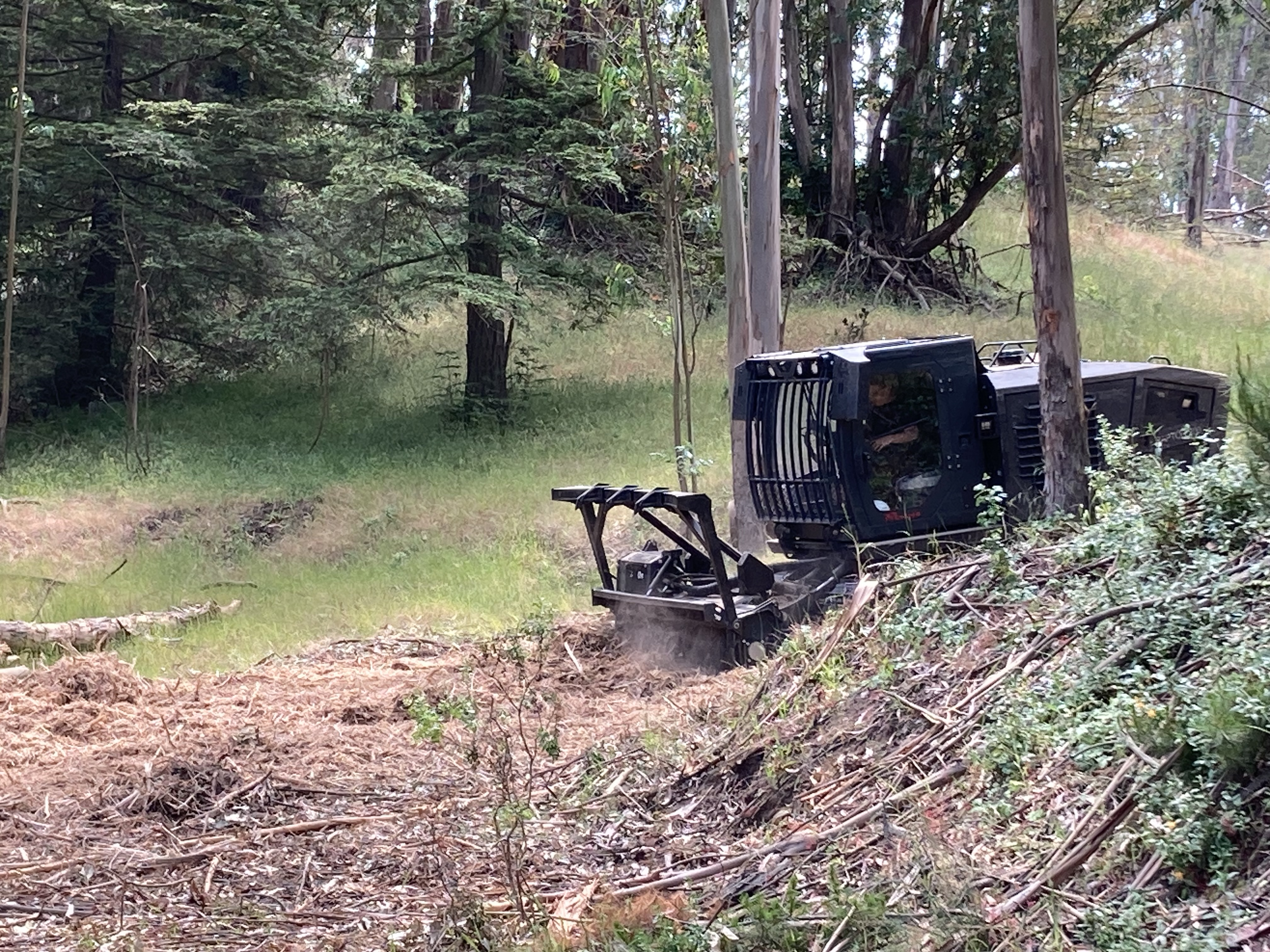 Forestry Maintenance