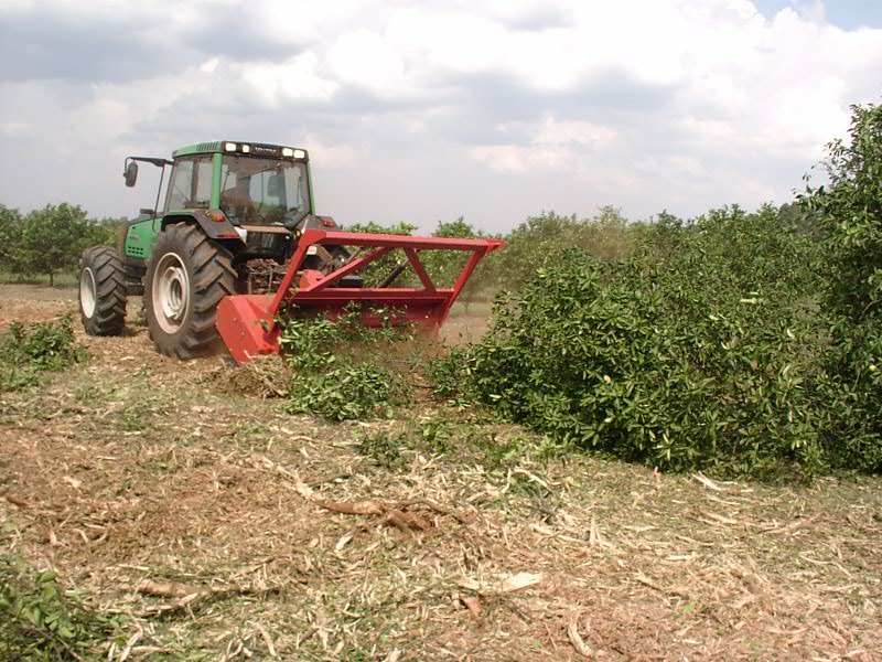 Bewirtschaftung von Plantagen