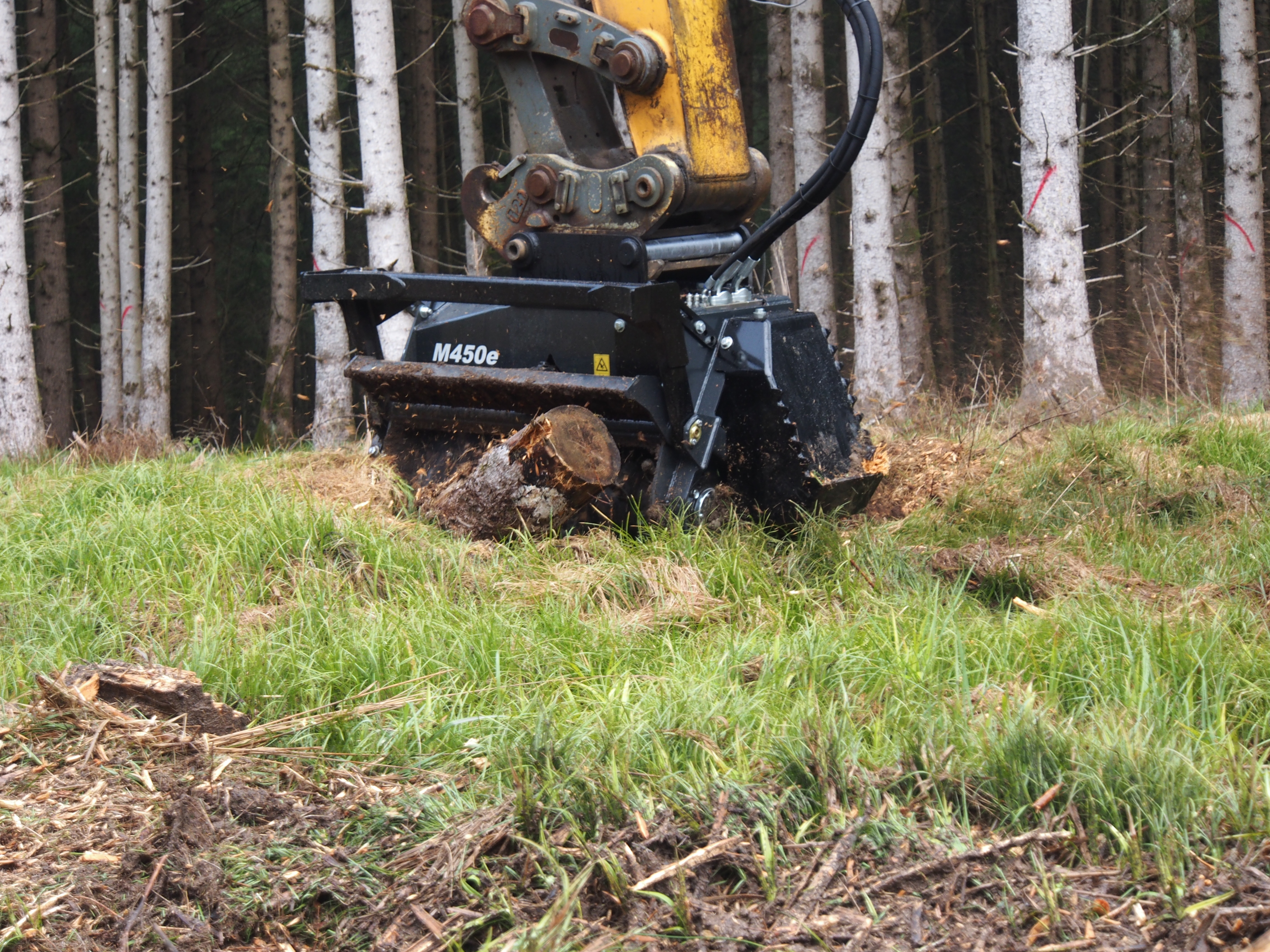 Stump removal and shredding roots