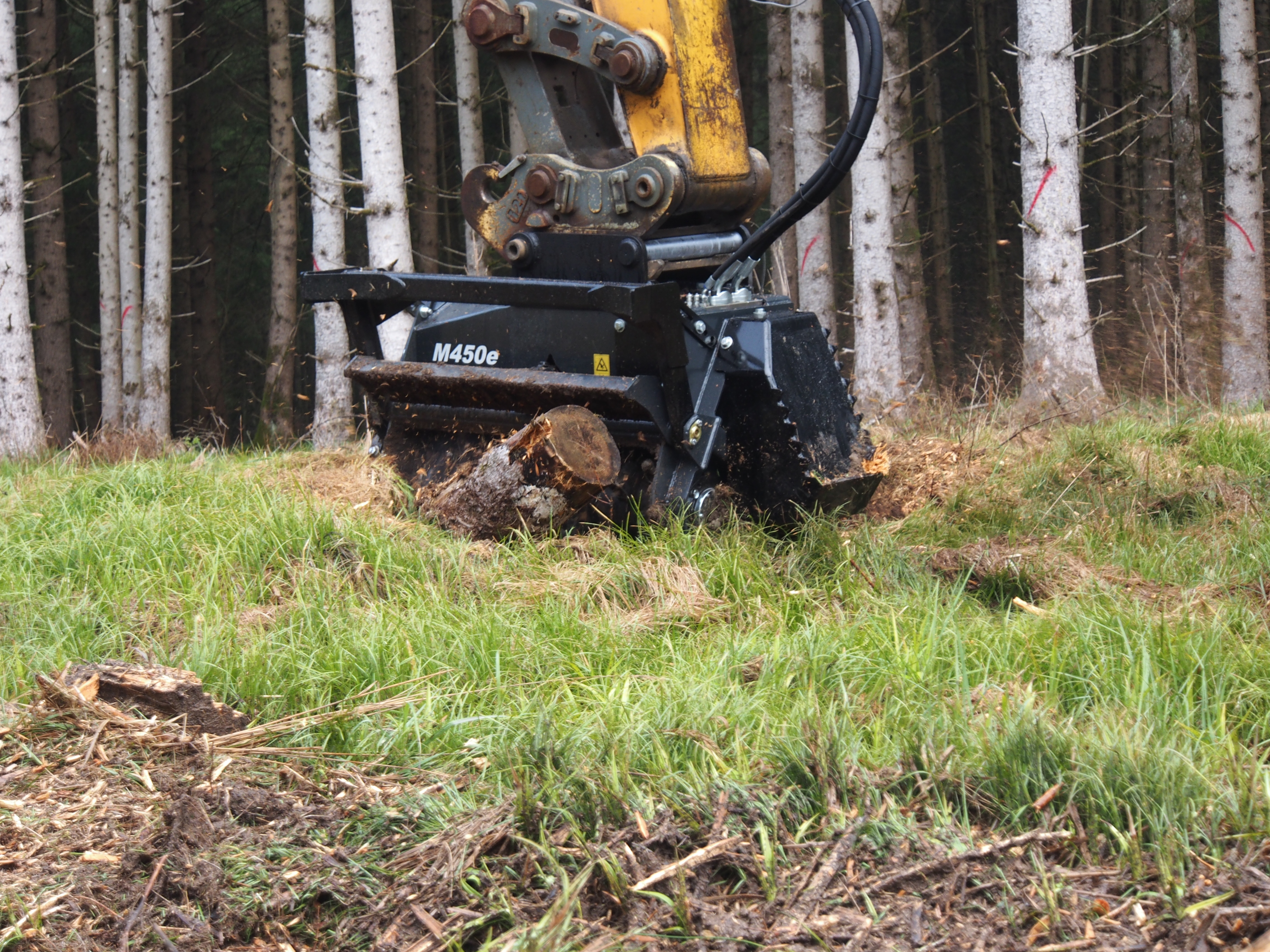 Stump removal and shredding roots Stump removal and shredding roots
