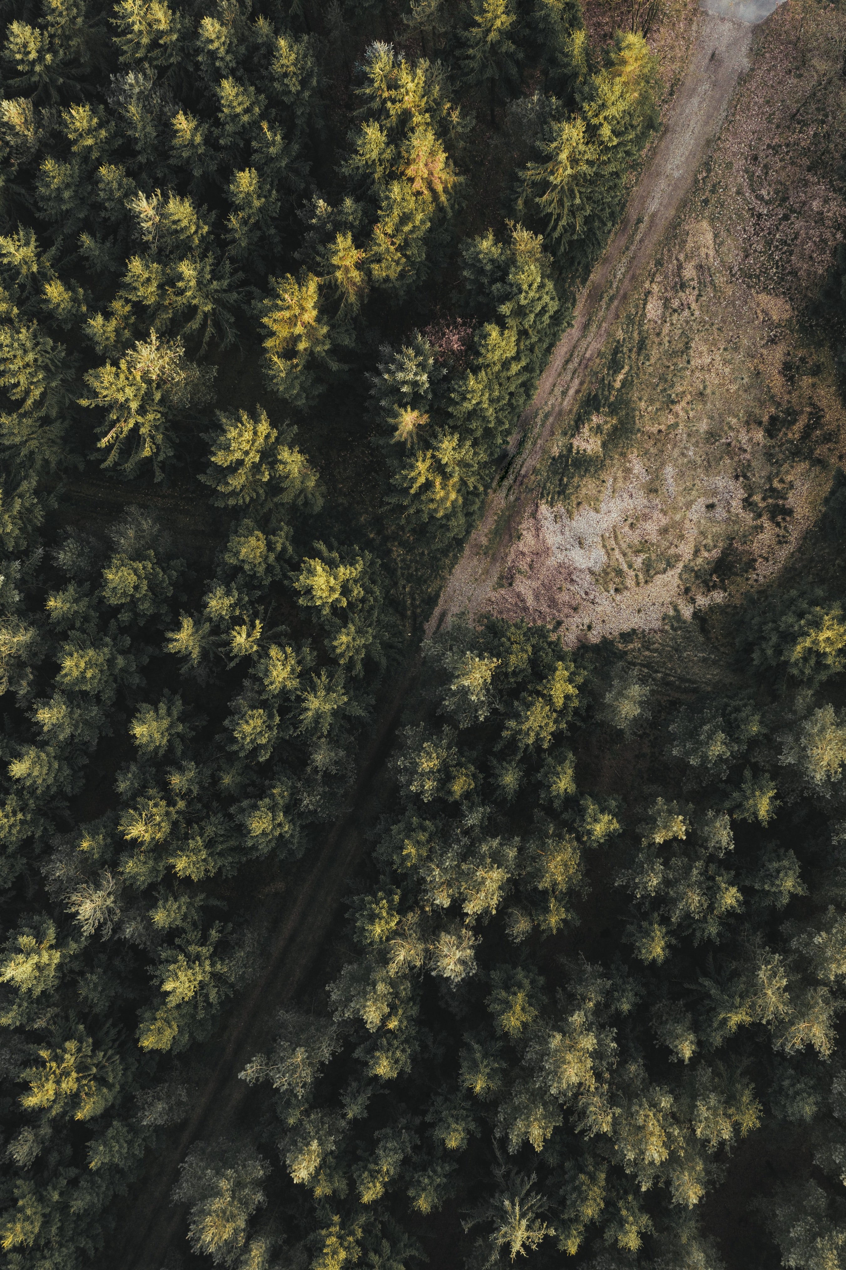 Quality and reliability