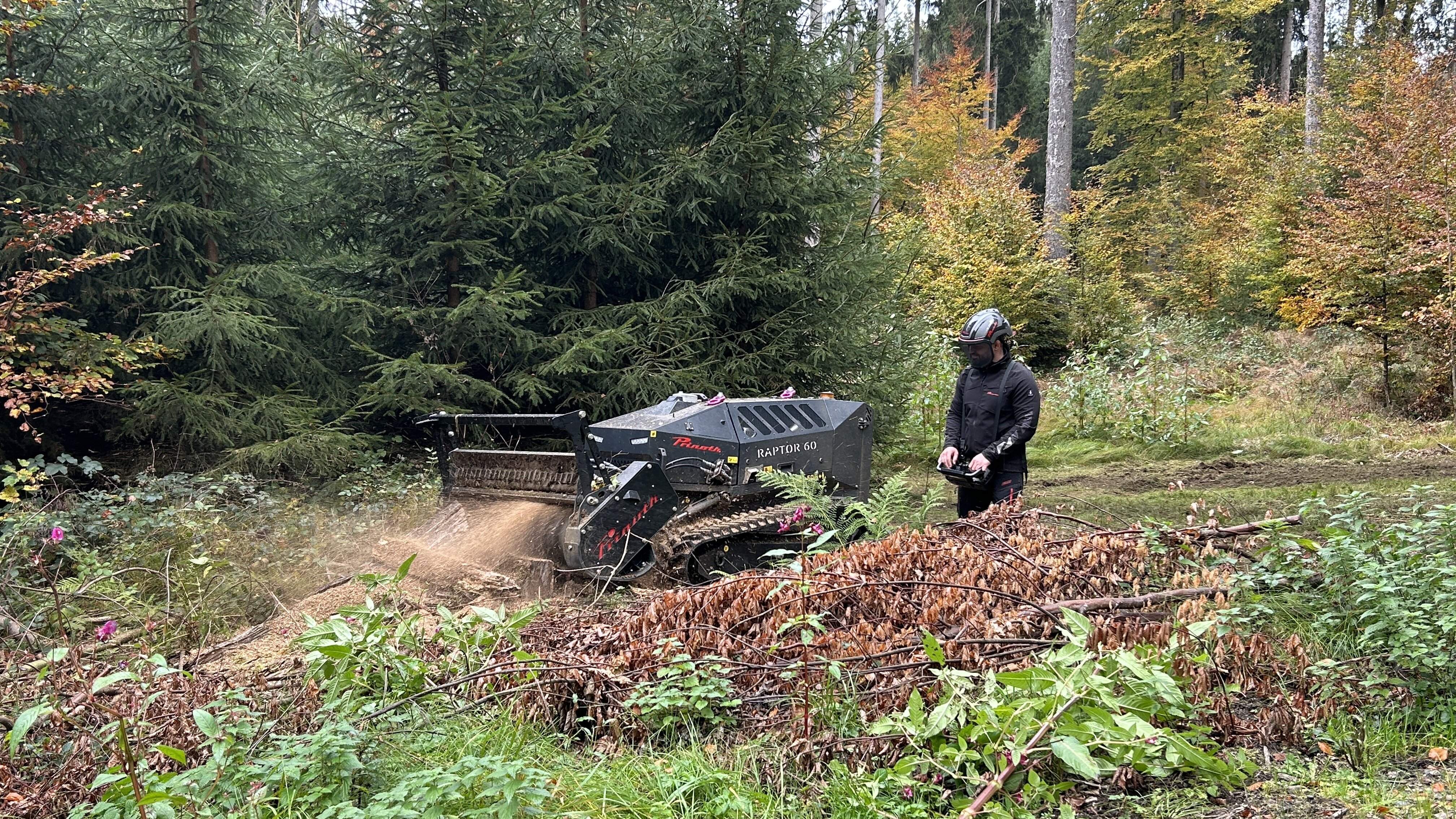Raptor 60